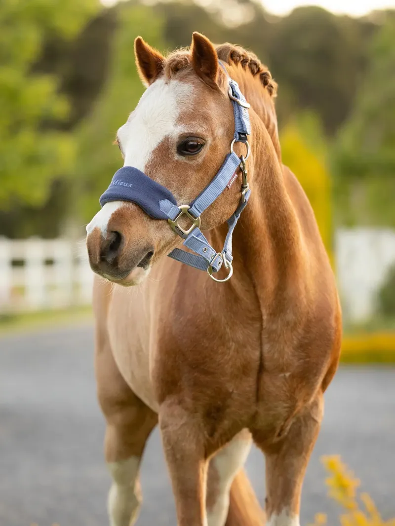 LeMieux Mini Vogue Headcollar and Leadrope - Powder Blue-1