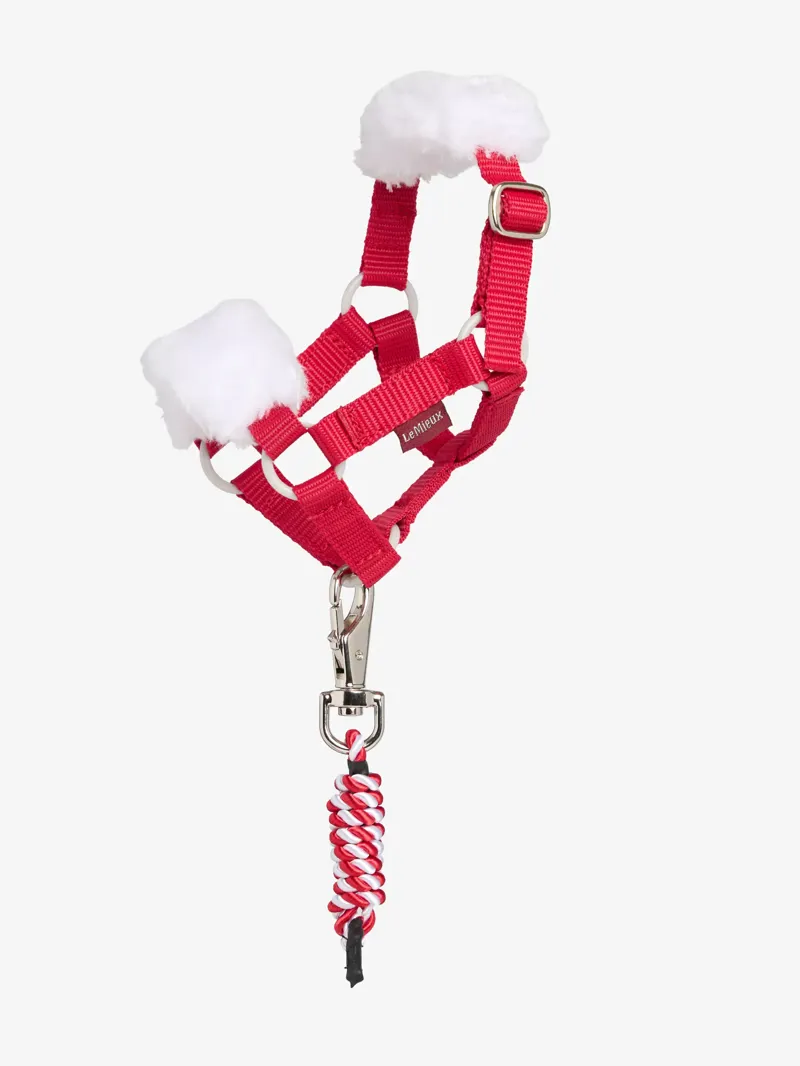 LeMieux Toy Pony Christmas Headcollar and Leadrope - Red