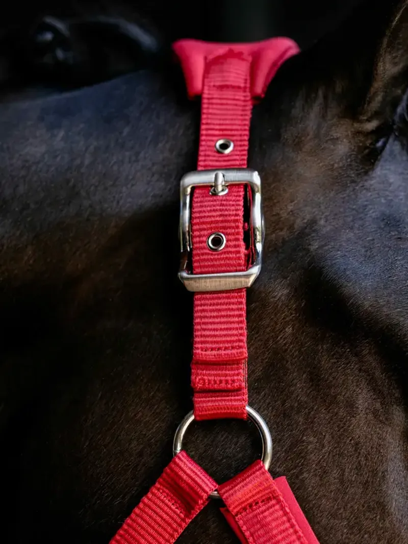LeMieux Breakaway Vogue Headcollar - Chilli-2