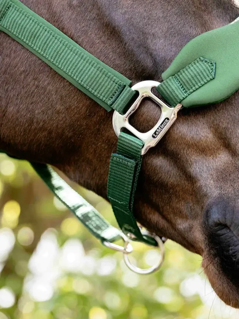 LeMieux Breakaway Mini Vogue Headcollar - Hunter Green-3