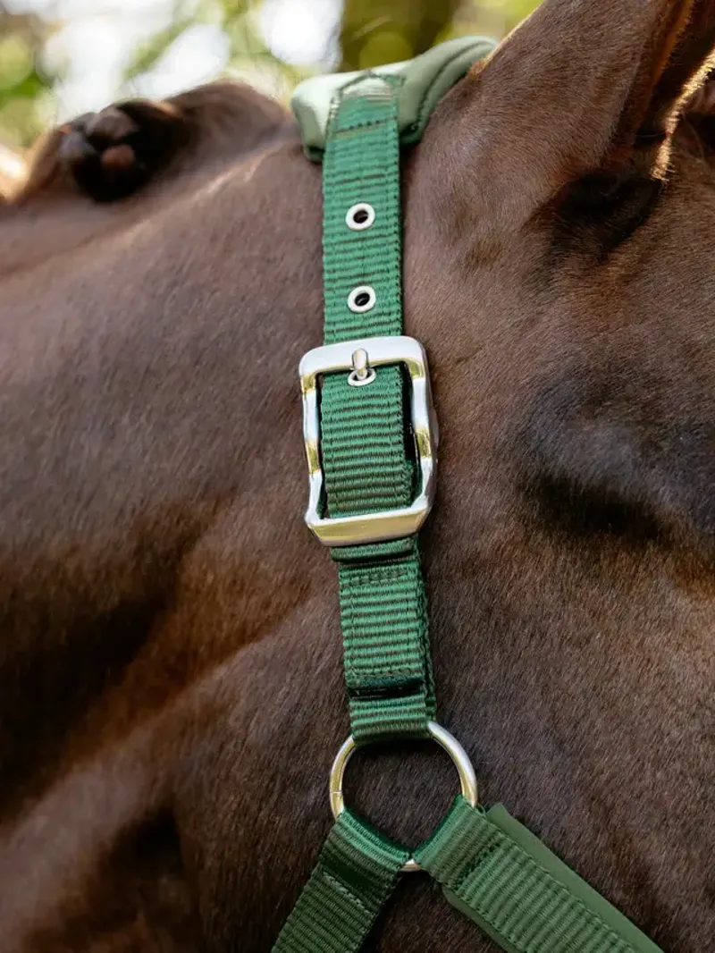 LeMieux Breakaway Vogue Headcollar - Hunter Green-2
