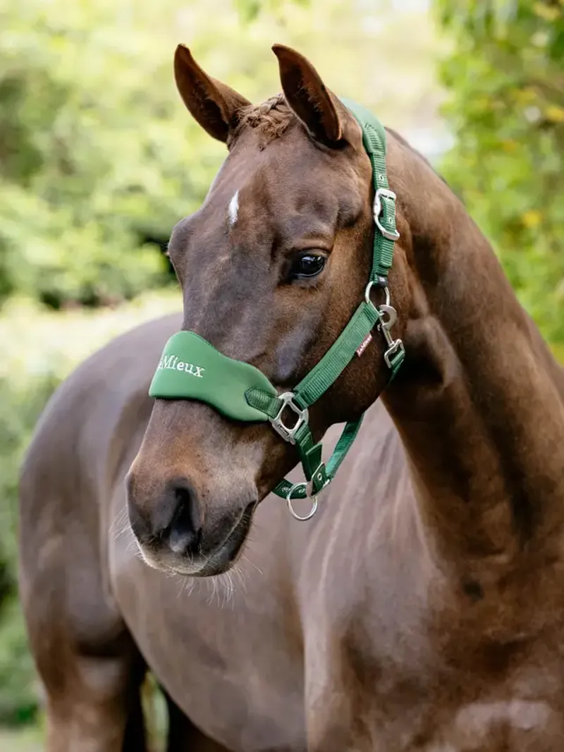 LeMieux Breakaway Vogue Headcollar - Hunter Green-1