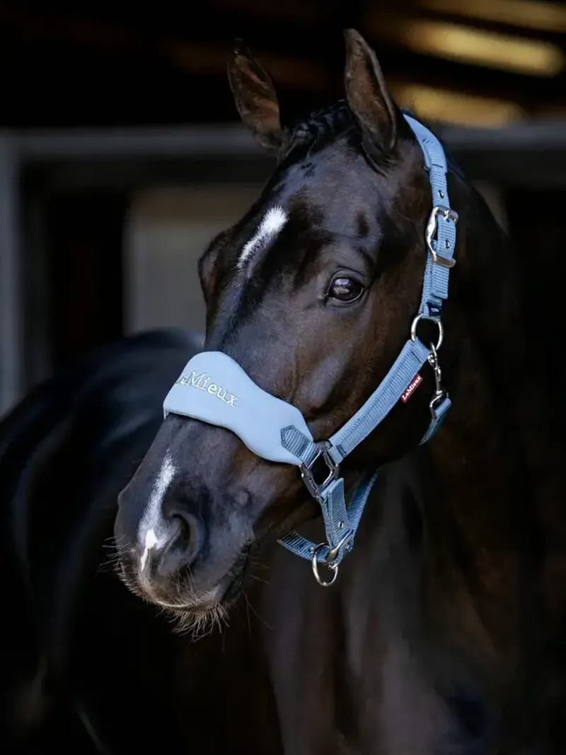 LeMieux Breakaway Vogue Headcollar - Ice Blue-1