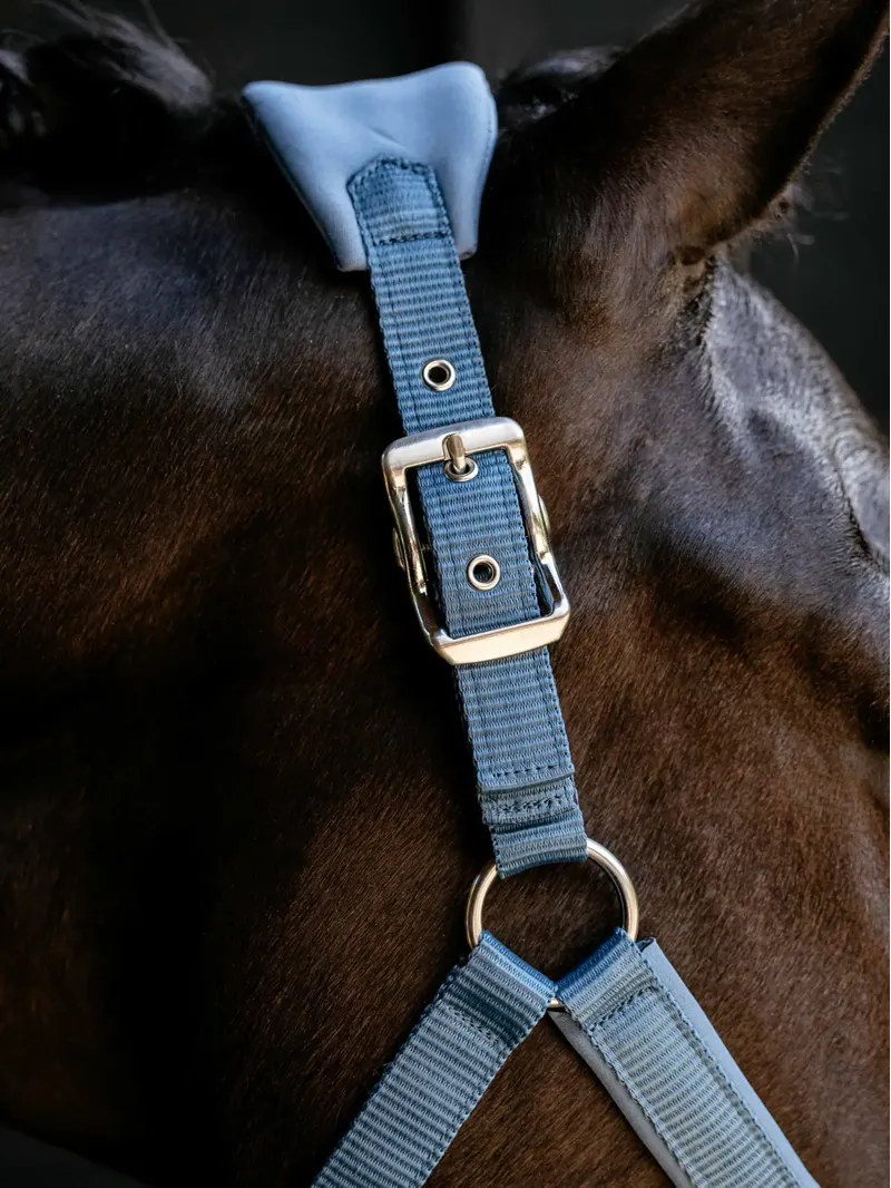 LeMieux Breakaway Vogue Headcollar - Ice Blue-2