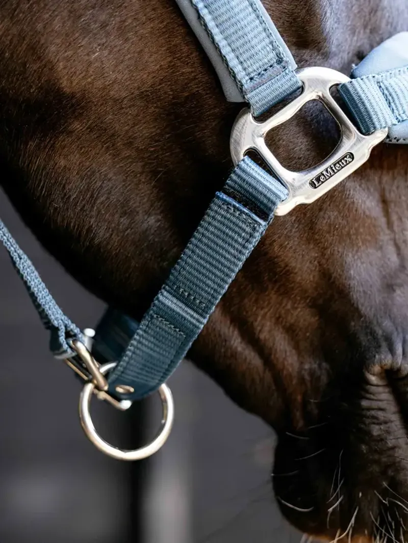 LeMieux Breakaway Vogue Headcollar - Ice Blue-3