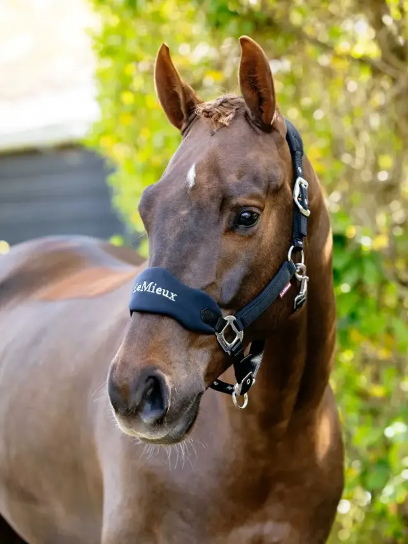 LeMieux Breakaway Vogue Headcollar - Black-1