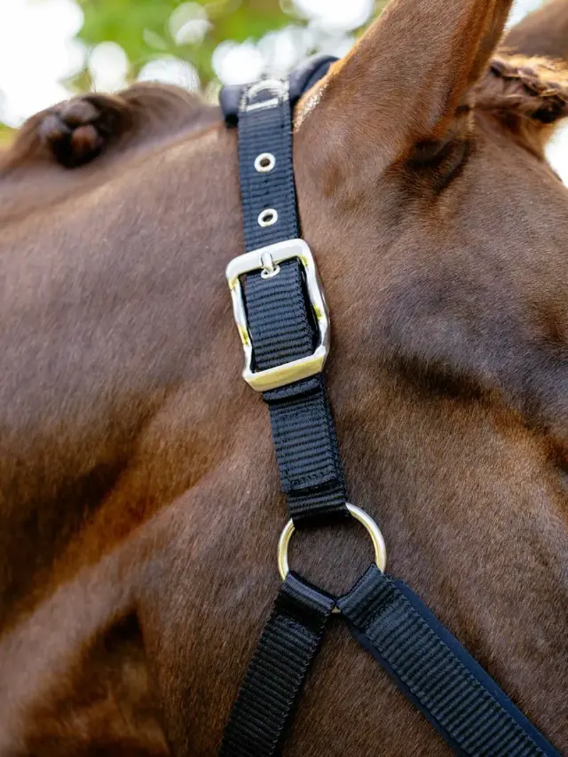 LeMieux Breakaway Vogue Headcollar - Black-3