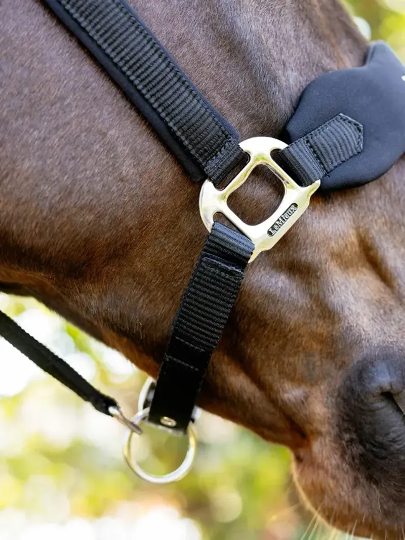 LeMieux Breakaway Vogue Headcollar - Black-2
