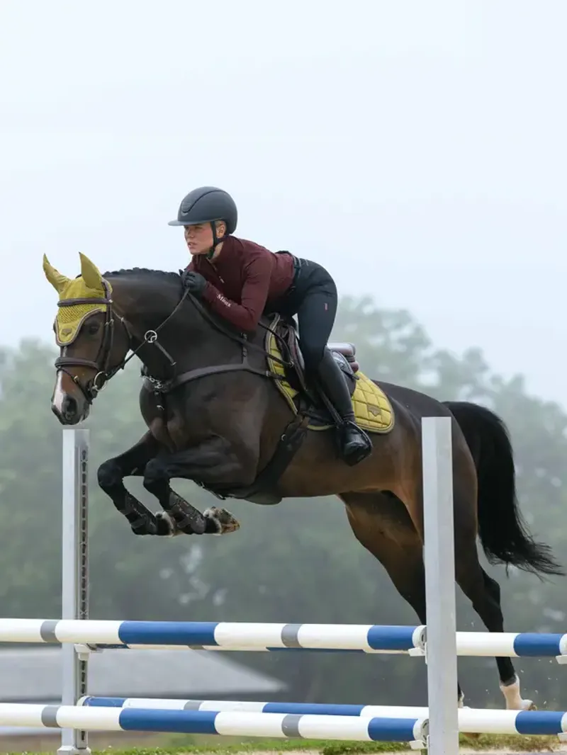 LeMieux Loire Classic Close Contact Square - Gooseberry-2
