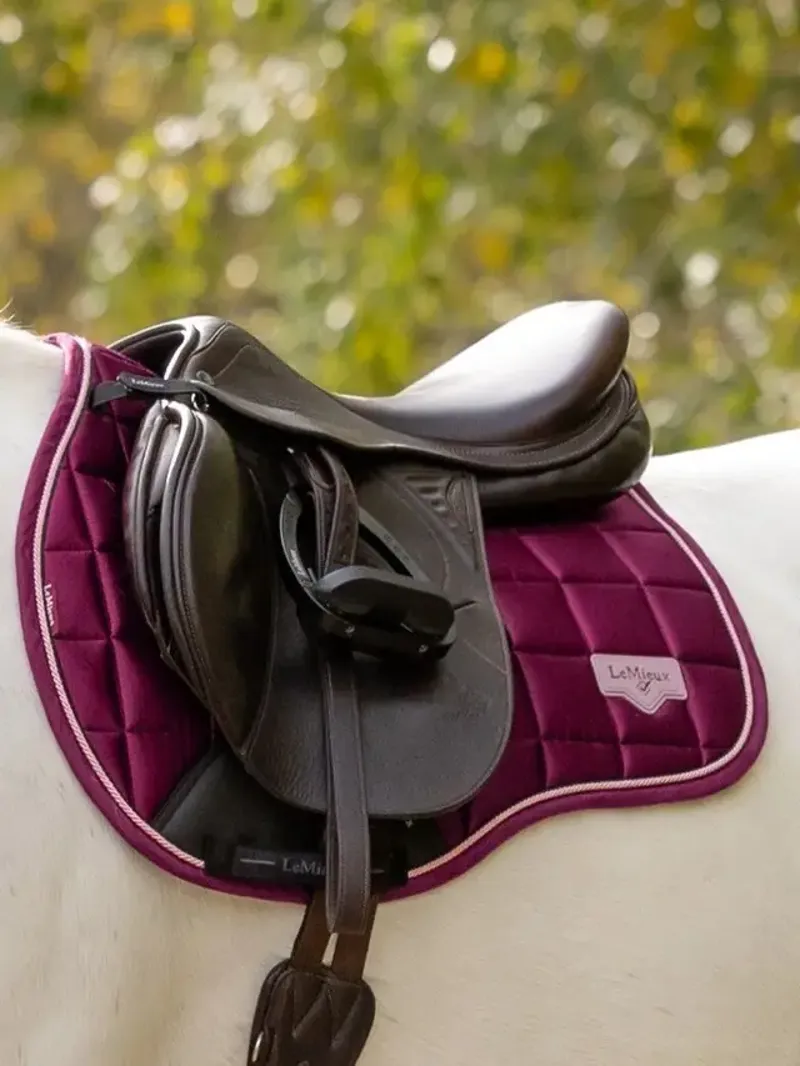 LeMieux Loire Classic GP Square - Blackberry-3