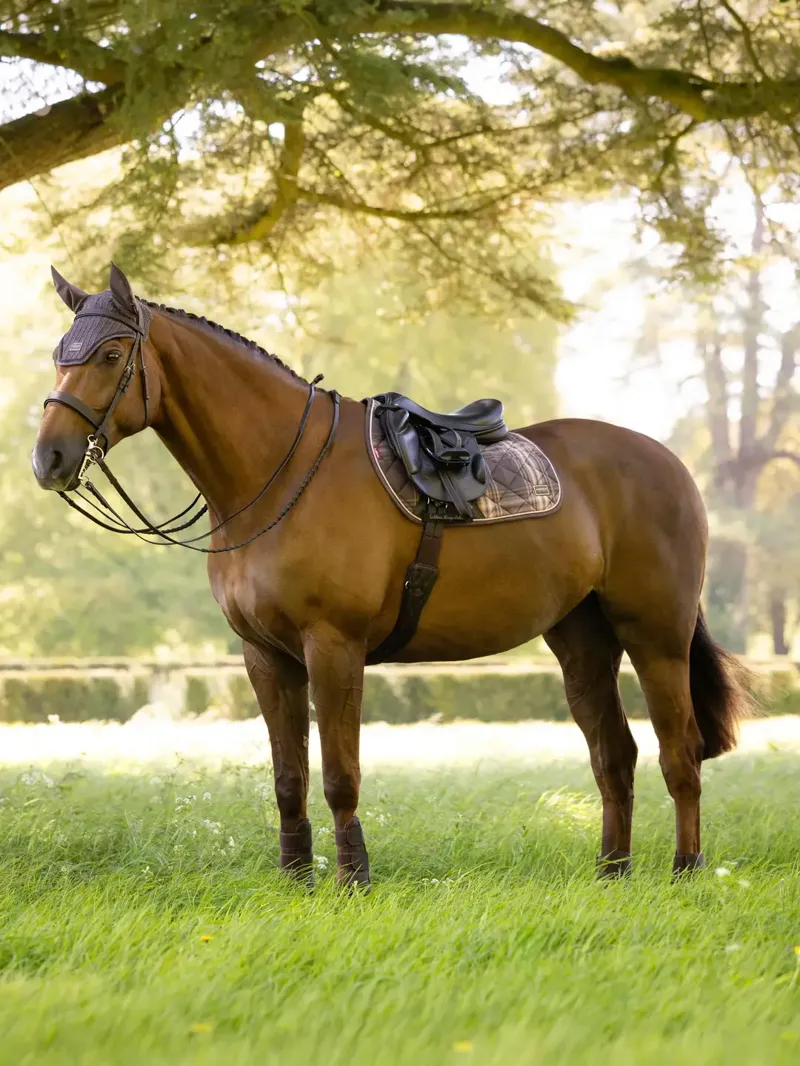 LeMieux Heritage Check Jump Square - Cocoa-1