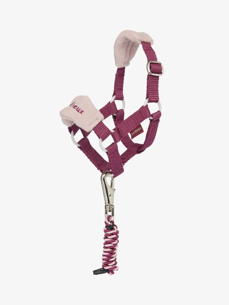 LemIeux Toy Pony Vogue Headcollar and Leadrope - Blackberry
