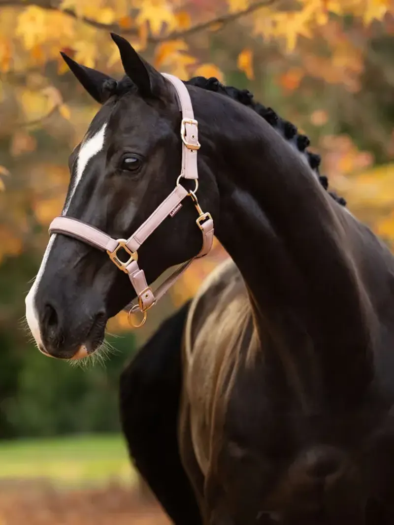 LeMieux Essence Headcollar - Wild Rose-1