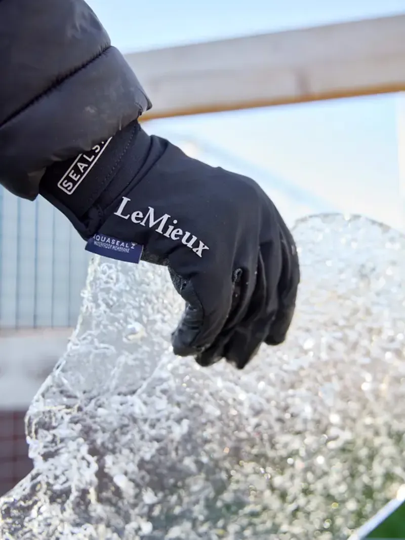LeMieux X Sealskinz Waterproof Glove - Black-1