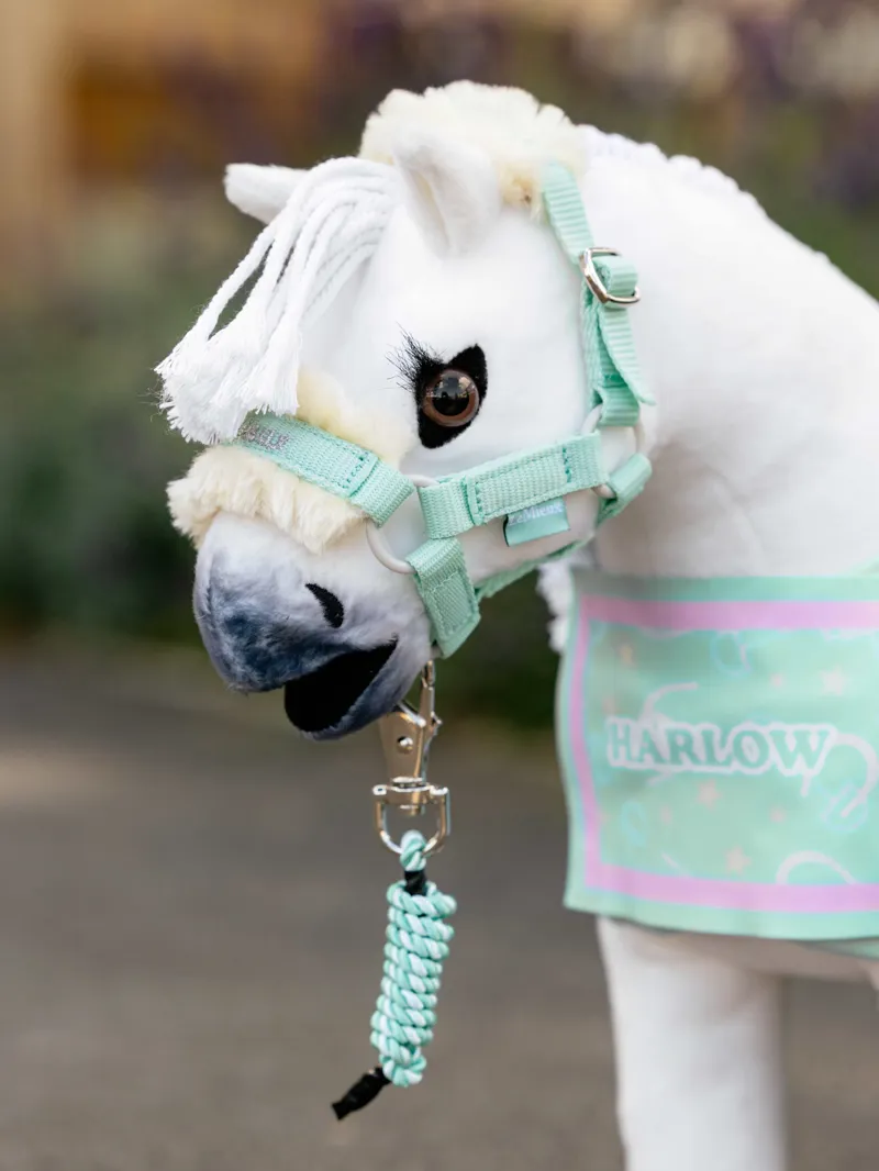 LeMieux Harlow Toy Pony Headcollar and Leadrope - Softmint-2