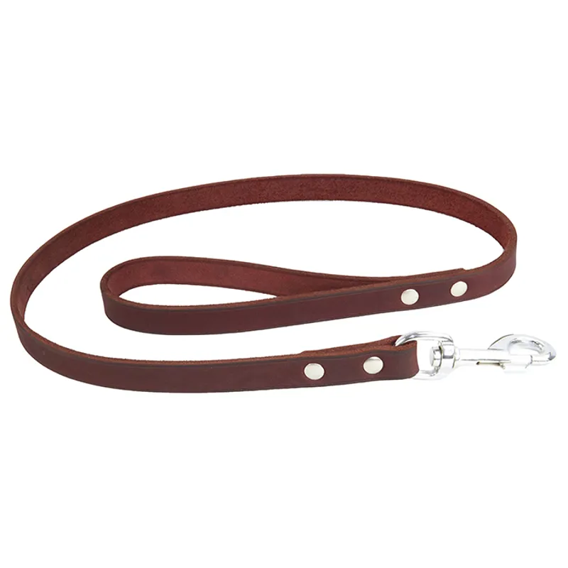 Earthbound Soft Country Dog Lead - Medium-3
