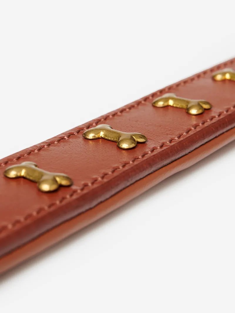 LeMieux Chelsea Dog Collar - X Small-4