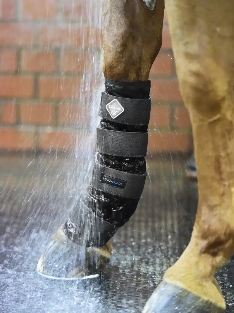 LeMieux Procool Cold Water Boot - Black-1