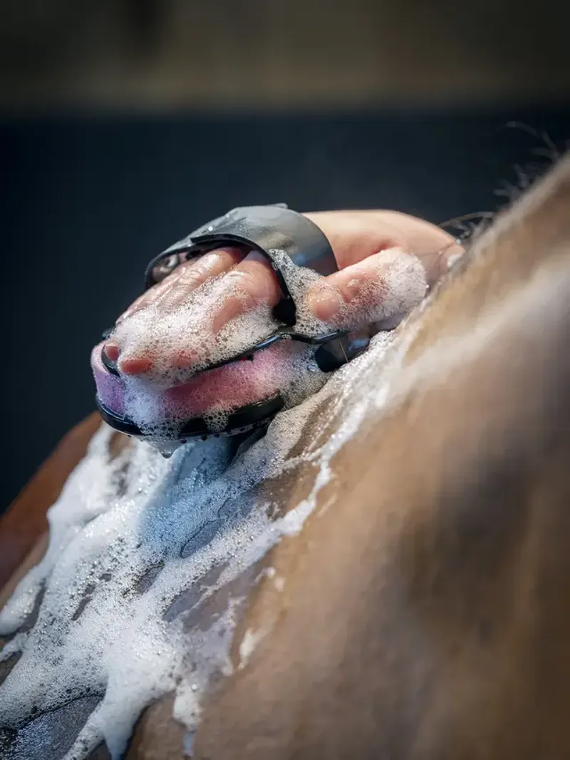 LeMieux Hippo Scrubber - Black-1