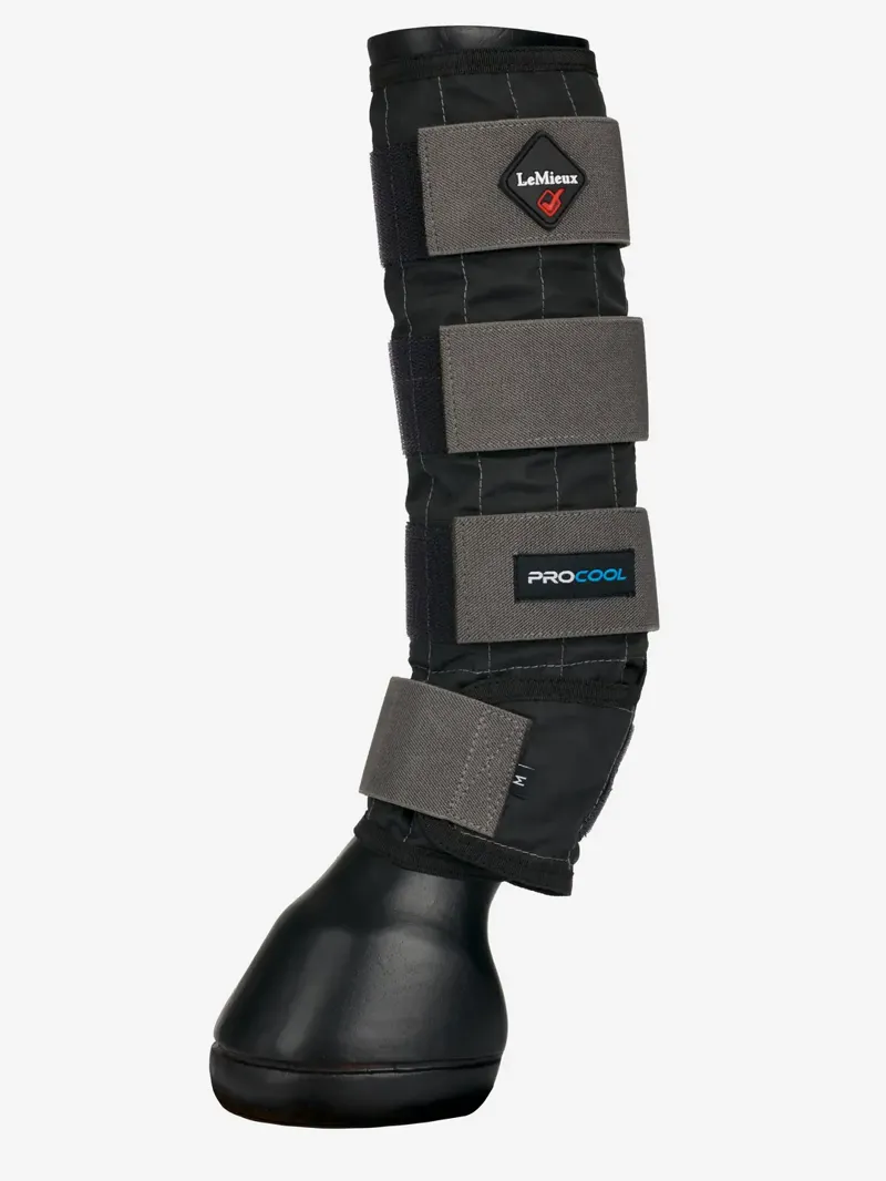 LeMieux Procool Cold Water Boot - Black