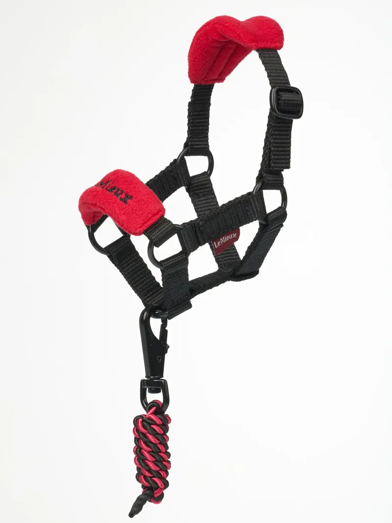 LeMieux Toy Pony Vogue Headcollar and Leadrope - Chilli