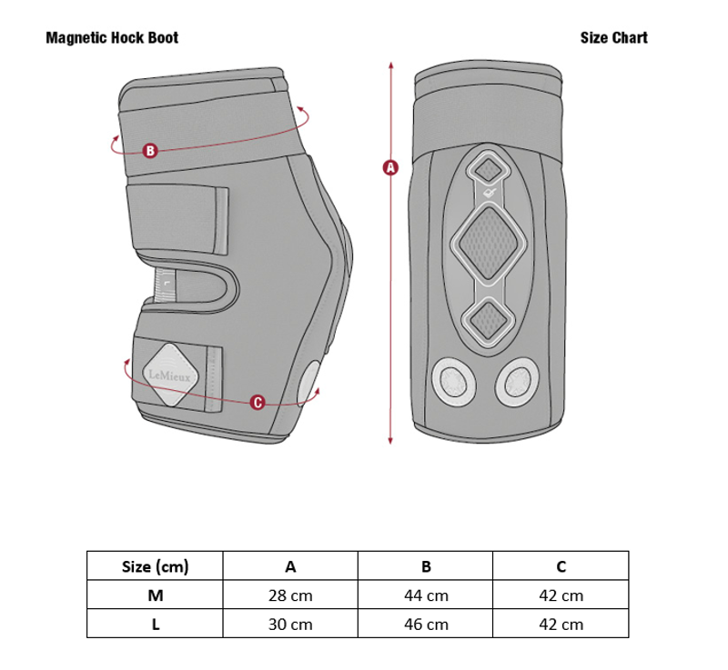 LeMieux Conductive Magnotherapy Hock Boot - Black-3