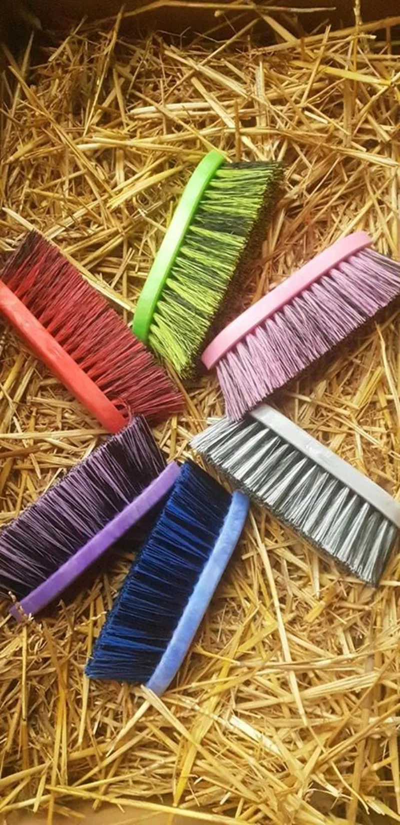 Eqclusive HAAS Mane and Tail Brush - Assorted Colours -2