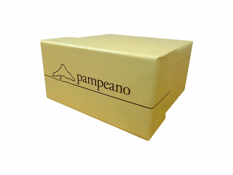 Pampeano Jefe Polo Belt - Brown/Navy-1