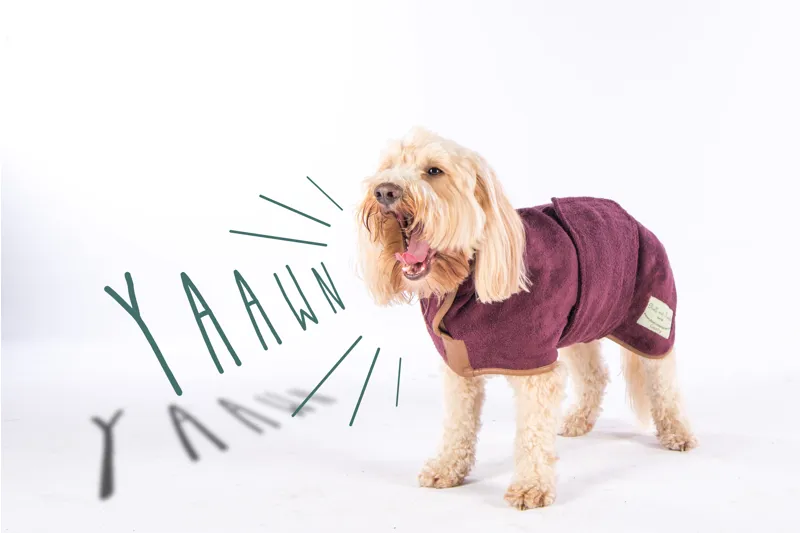 Ruff  and  Tumble Country Collection Drying Coat - Medium