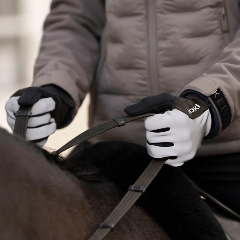 Roeckl Wolfach Glove - Silver reflect-3