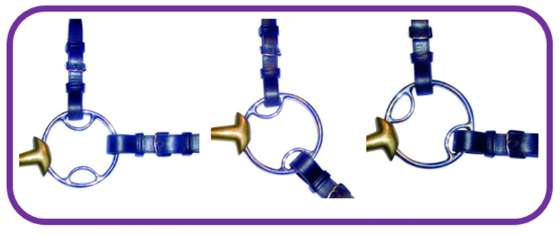 Sprenger Dynamic RS Multi Ring Snaffle - Sensogan-1