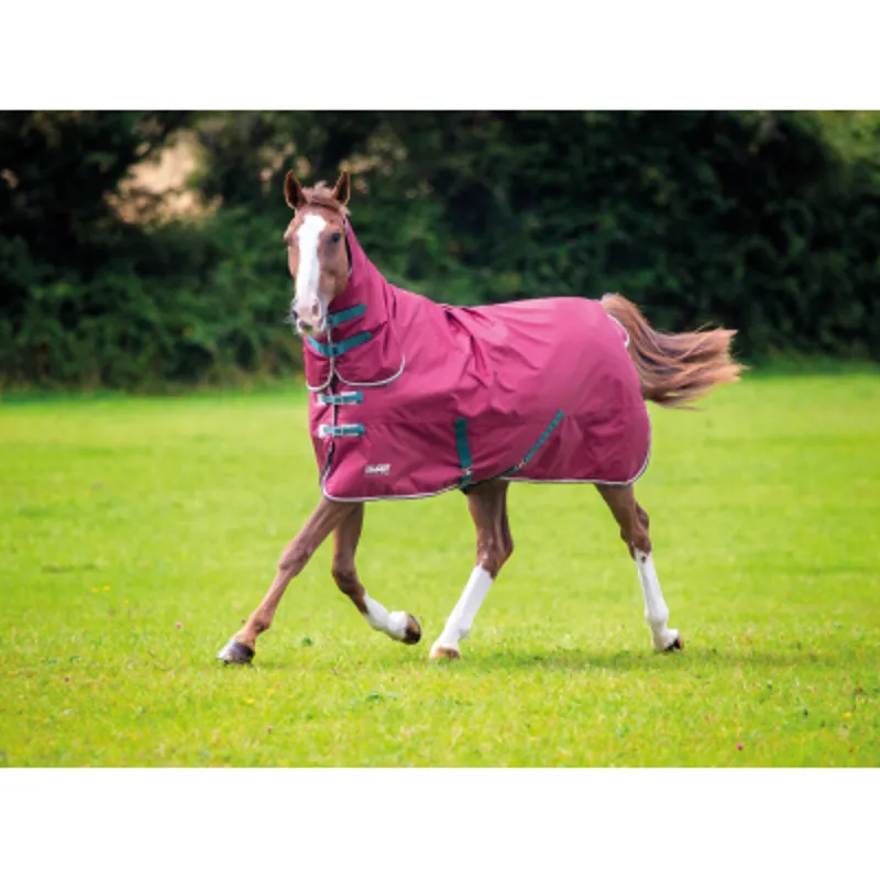 Shires Tempest Original 200g Combo - Maroon