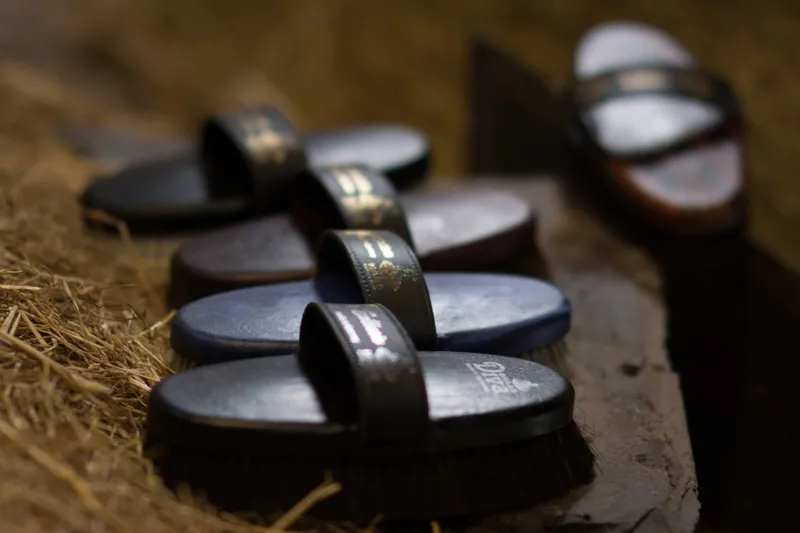 Eqclusive HAAS Brushes Pack - Dark Bay/Black-1