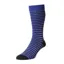 Scott Nichol Stonehurst Sock - Royal