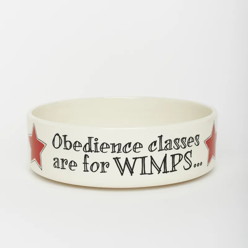 Sweet William Small Pet Bowl - Obedience Classes-1