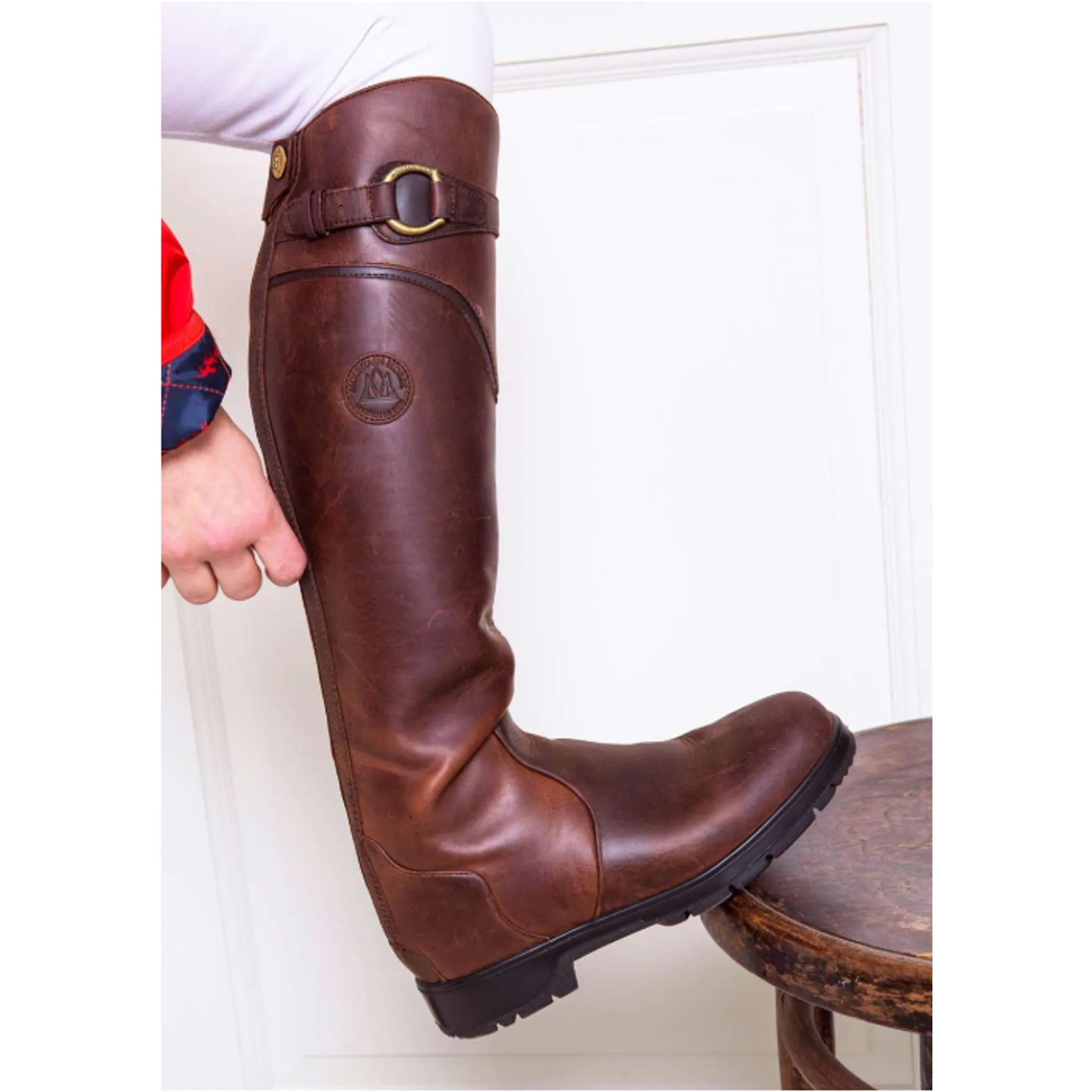 Mountain horse spring river online