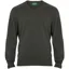 Alan Paine Stratford Gents V Neck Long Sleeve - Loden
