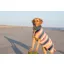 Ruff and Tumble Design Collection Drying Coat - Medium