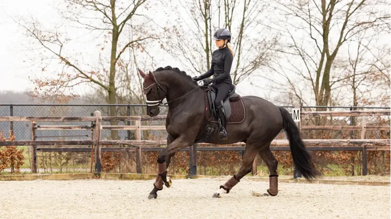 LeMieux Crystal Suede Dressage Square - Brown-1