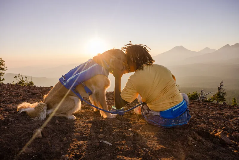 Ruffwear Trail Runner Belt - Blue Pool-4