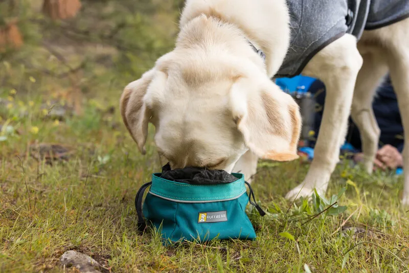 Ruffwear Quencher Cinch Top Bowl - Tumalo Teal-2
