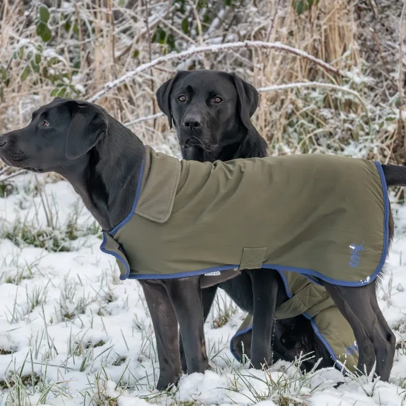 Sporting Saint Winslow Dog Coat - Waterproof 18inch-1